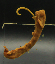 CBParAl002.png