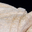 5578 - 5595.JPG