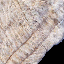 5578 - 5594.JPG